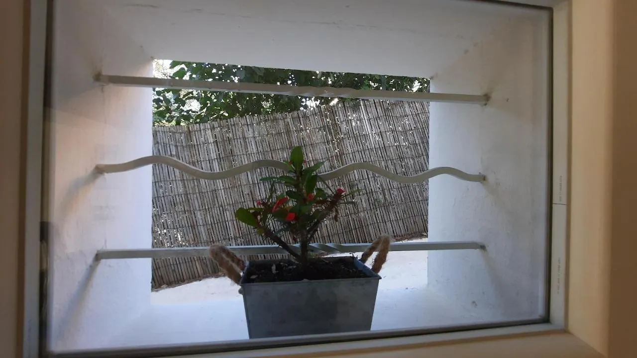 Homestay Les Bois Flottes . Plage De La Verne La Seyne-sur-Mer France