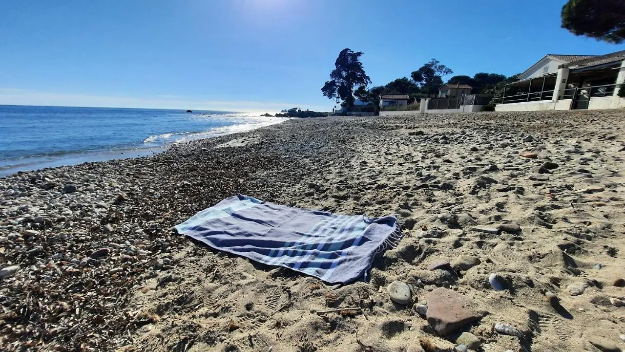 Les Bois Flottes . Plage De La Verne La Seyne-sur-Mer