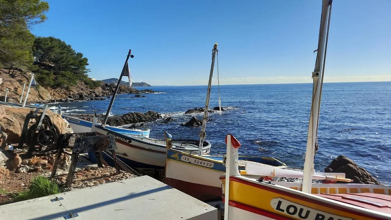 Les Bois Flottes . Plage De La Verne La Seyne-sur-Mer 0*,