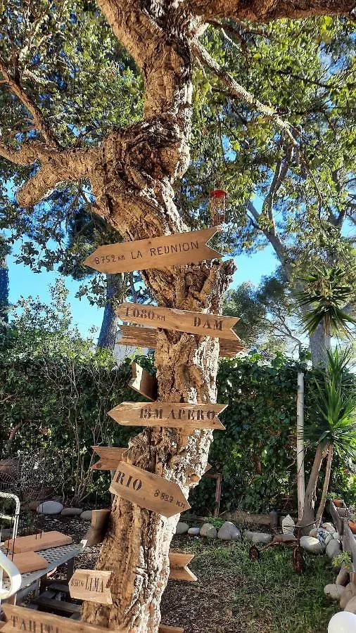 Homestay Les Bois Flottes . Plage De La Verne La Seyne-sur-Mer