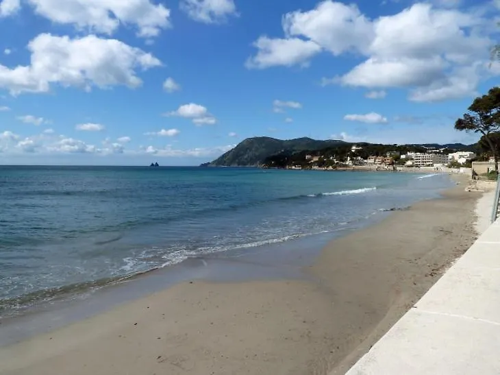 Les Bois Flottes . Plage De La Verne La Seyne-sur-Mer France