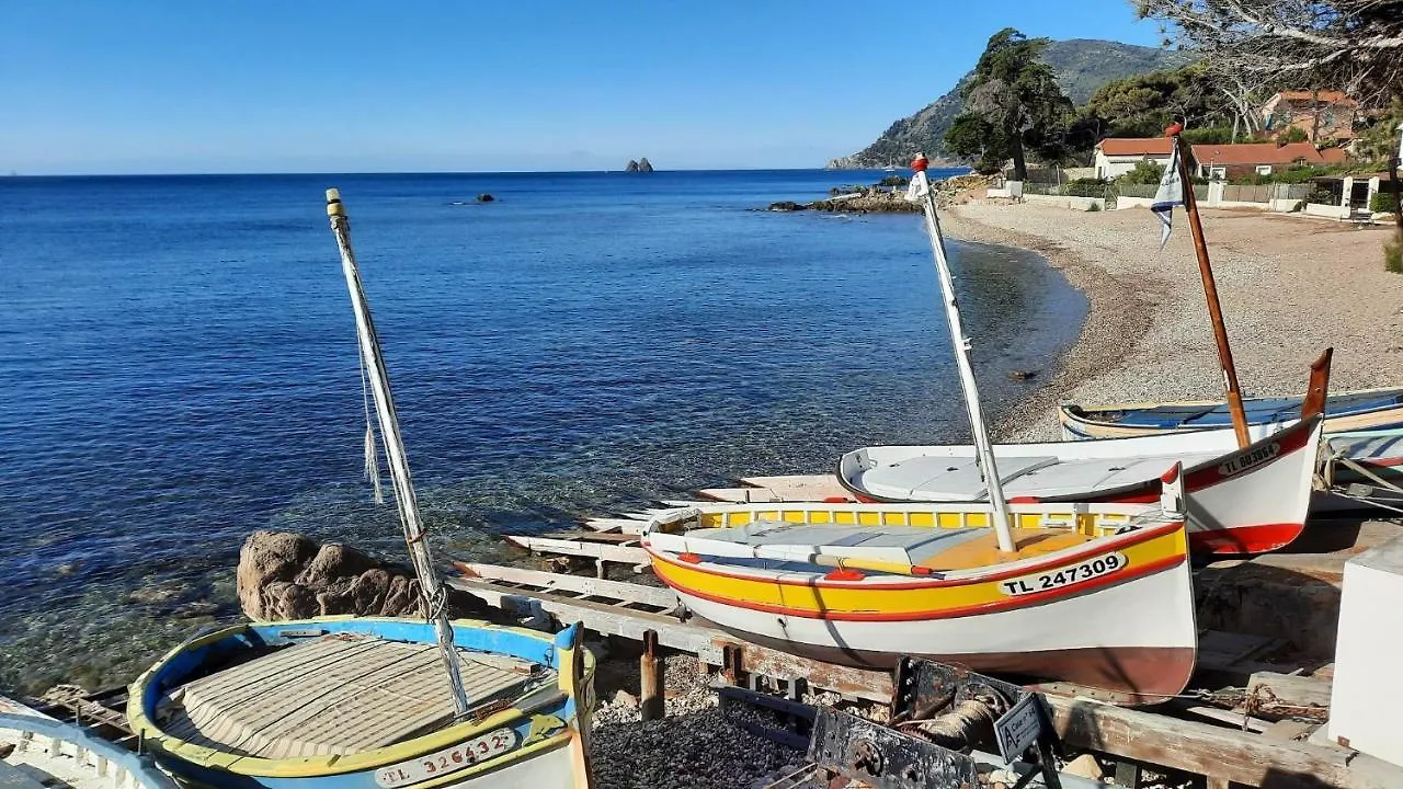 Les Bois Flottes . Plage De La Verne La Seyne-sur-Mer 0*,  France